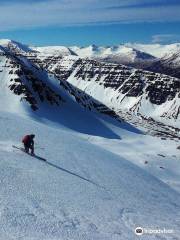 Arctic Freeride