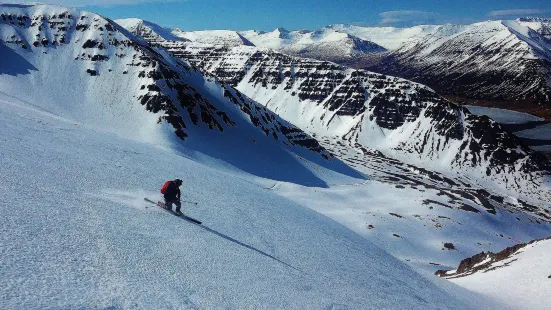 Arctic Freeride