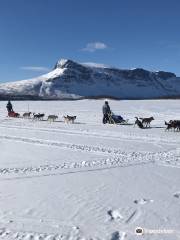 Snötroll Sleddog adventures