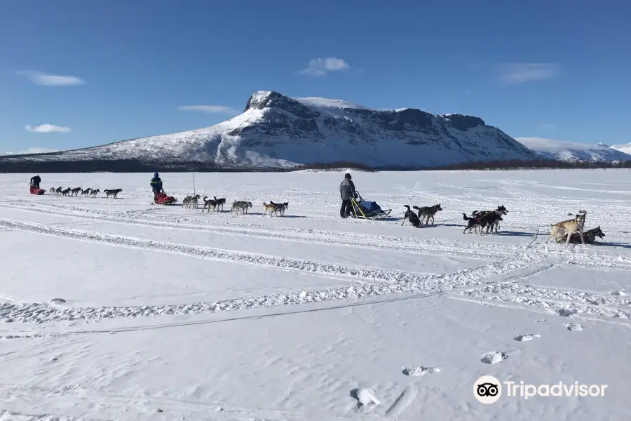 Snötroll Sleddog adventures