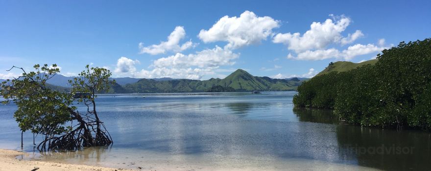 Macang Tanggar