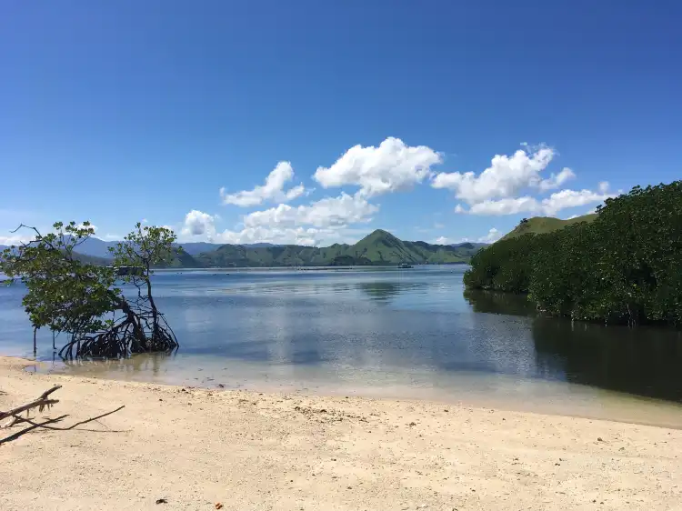 Macang Tanggar