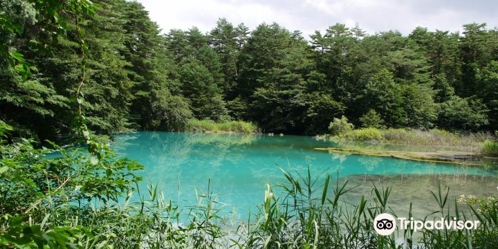 Goshikinuma Ponds