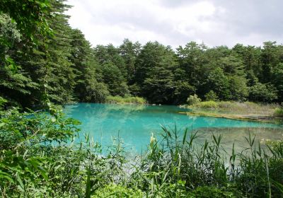 Goshikinuma Ponds