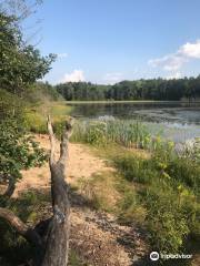 Sand Lakes Quiet Area