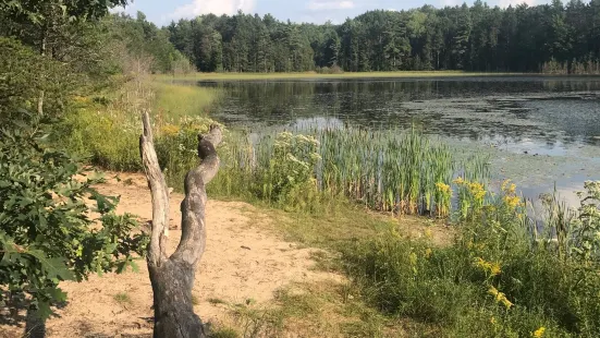 Sand Lakes Quiet Area