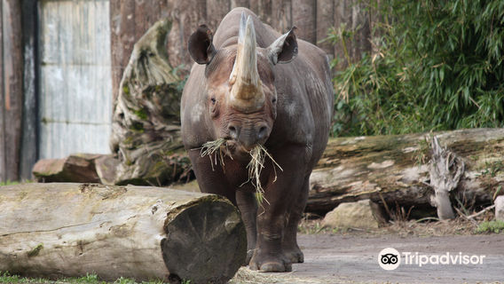 Zoologischer Garten Magdeburg
