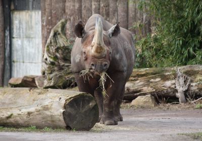 Zoologischer Garten Magdeburg