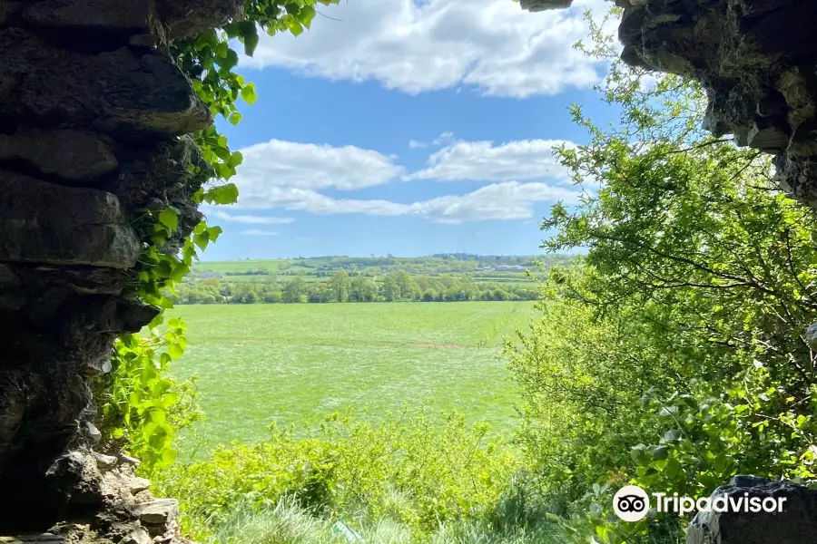 Ballincollig Castle(Caisleán Bhaile an Chollaigh)