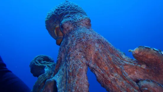 Diving Center Fornells