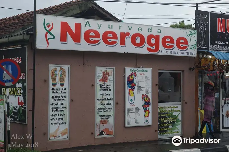 Neerogee