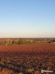 Renmark Rotary Township Lookout Tower