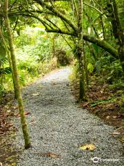 Arenal Vida Campesina