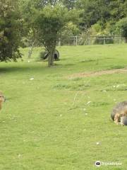 Badgers Hill Farm & Cidery