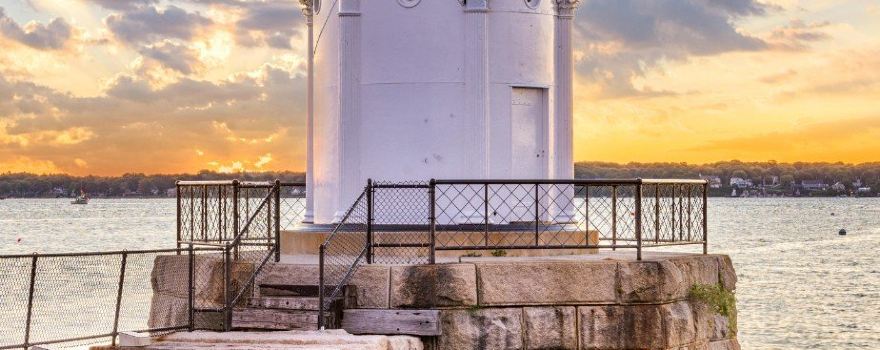 Bug Light