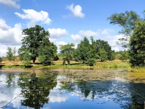 Wildpark Lüneburger Heide