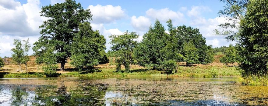 Wildpark Lueneburger Heide