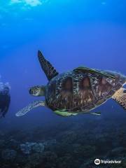 Diving Center Hurghada