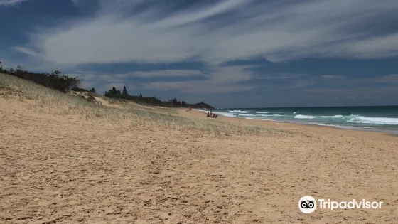 Kawana Beach