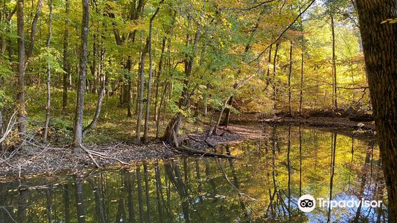 Brukner Nature Center