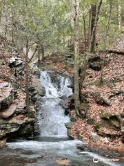 Wantastiquet Mountain Natural Area