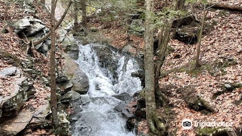 Wantastiquet Mountain Natural Area