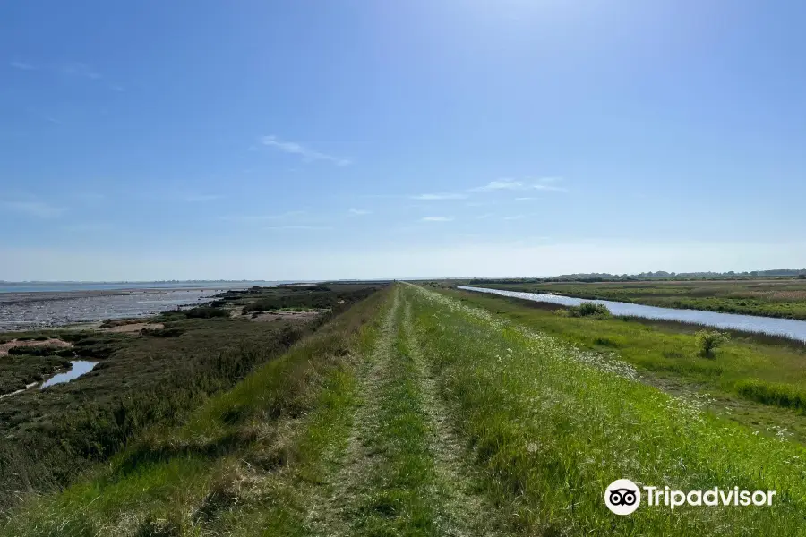 Tollesbury Wick Nature Reserve