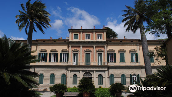 Botanical Garden and Museum