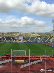 Carlo Castellani Stadium