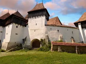 Câlnic Fortress