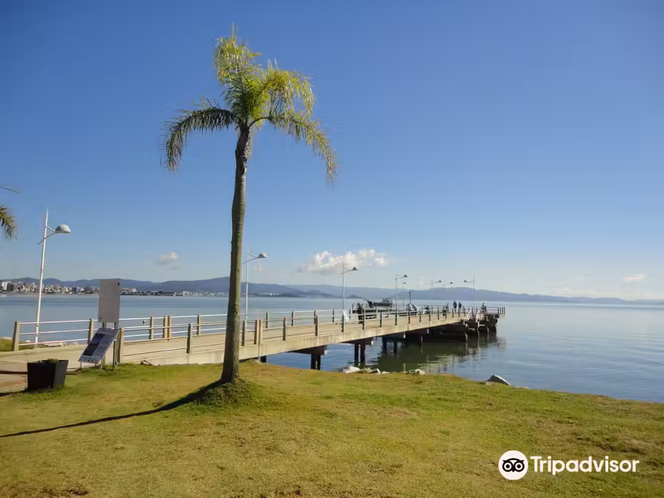 ${{cityDName}} to Florianopolis Flights
