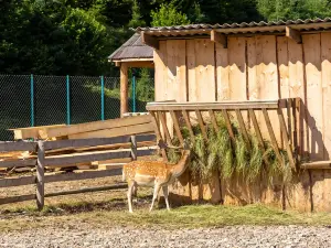 Eco-Park Dolina Volkov