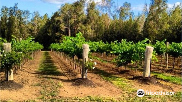 Hungerford Hill Wines