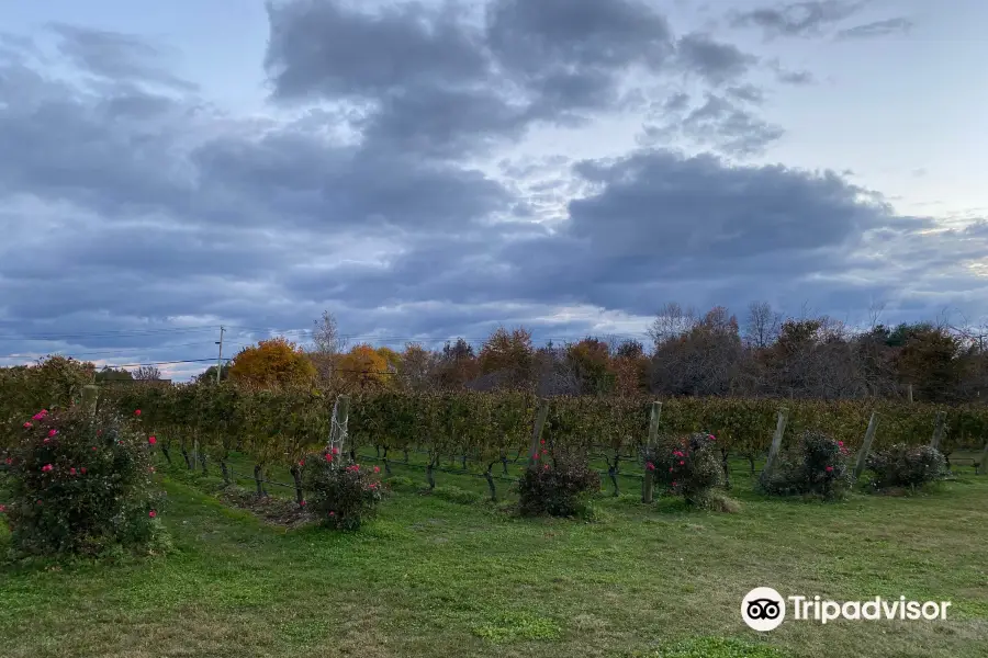 Baiting Hollow Farm Vineyard