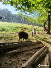 Parc a Gibier