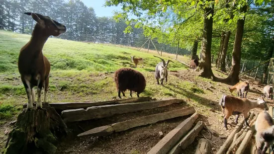 Parc à Gibier de Saint-Hubert