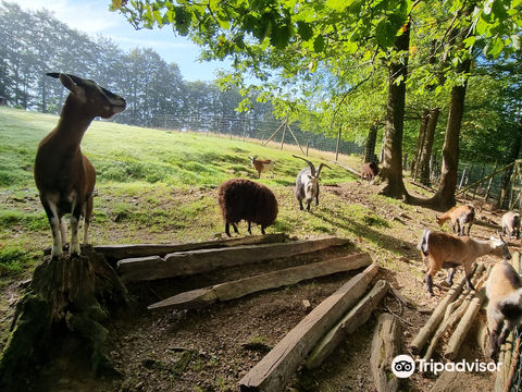 Parc a Gibier