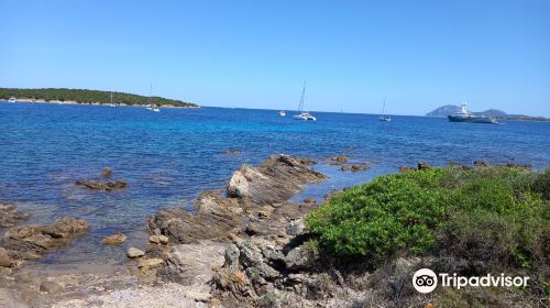 Spiaggia Cala Razza di Giunco