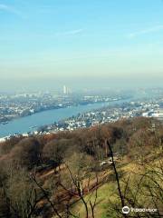 Drachenfels