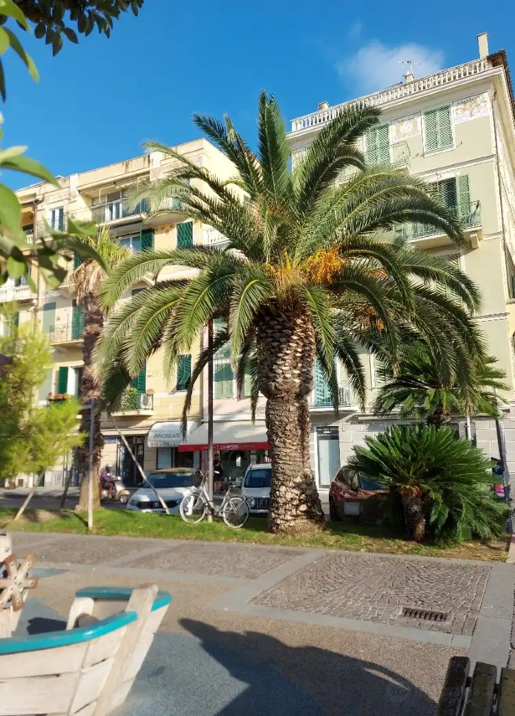 Hotels near Lungomare di Finalmarina