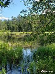 Brendan T. Byrne State Forest