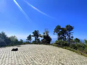 Nagarkot View Tower