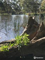 Heyfield Wetlands Information Centre