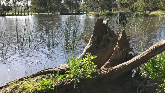 Heyfield Wetlands Information Centre