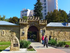 Krepost Local History Museum