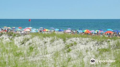 Cupsogue Beach County Park