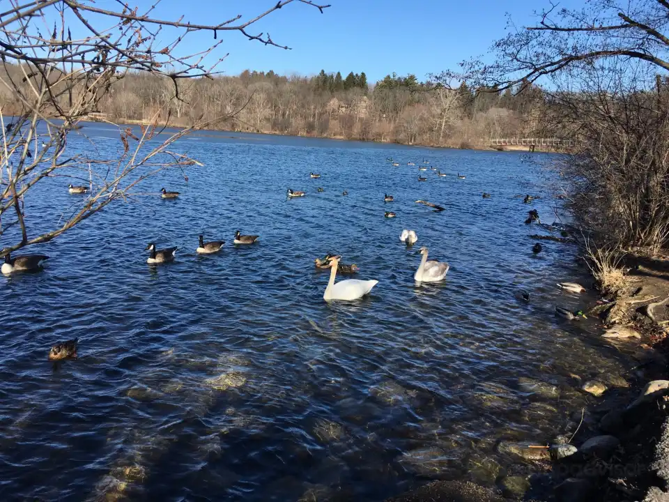 4_Gallup Park