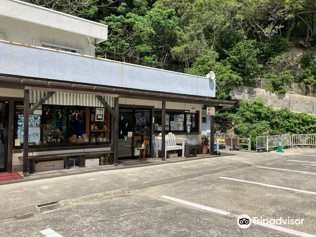 2_淡路島猴子中心