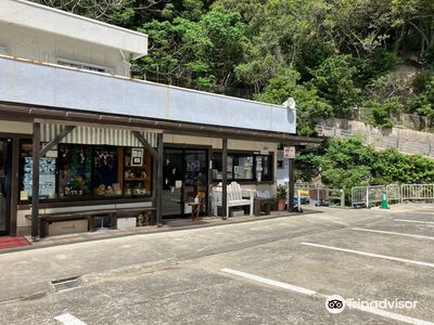Awaji Monkey Center