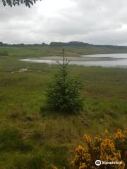 Trusk Lough